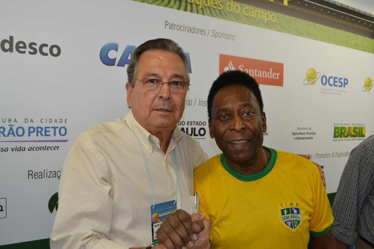 Imagem Exemplo da Galeria